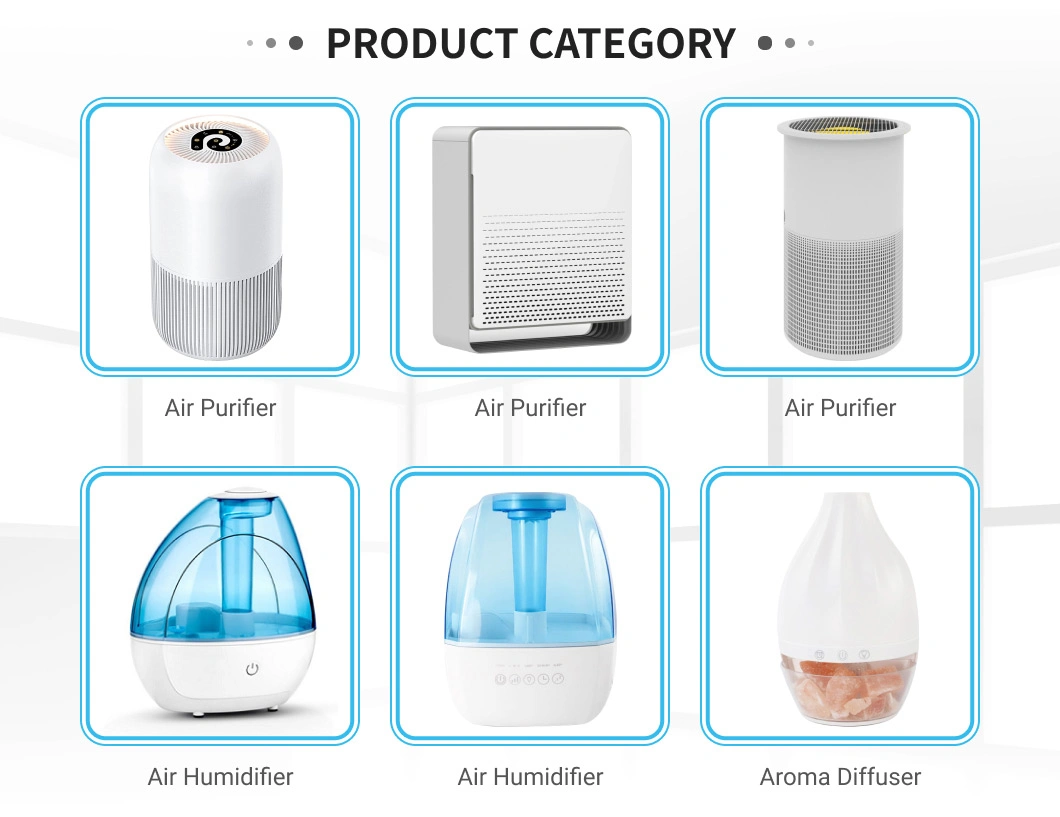 RoHS Approved AC Source Trademark/OEM/ODM Giftbox, Carton Ozone Generator Air Purifier