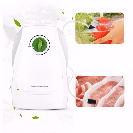 300 mg/h 타이머 제어 오존 발생기, 야채 및 과일용 공기 및 정수기